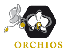 logo orchios